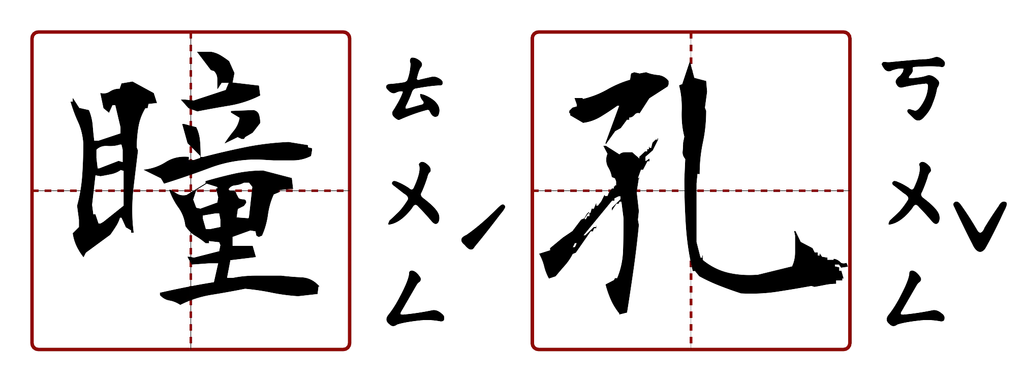 瞳孔 的字音圖